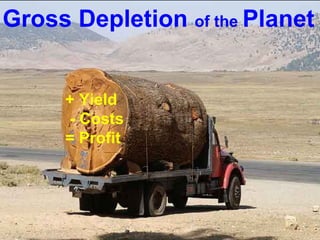 Guy Dauncey 2013
www.earthfuture.com
Gross Depletion of the Planet
+ Yield
- Costs
= Profit
 