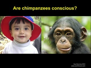 Guy Dauncey 2013
www.earthfuture.com
Are chimpanzees conscious?
 