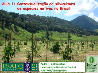 Aula 1: Contextualização da silvicultura
de espécies nativas no Brasil
Pedro H. S. Brancalion
Laboratório de Silvicultura Tropical
(LASTROP/ESALQ/USP)
 