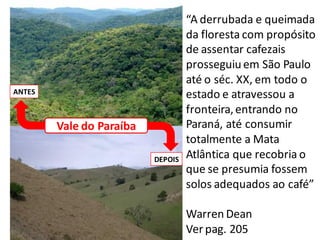 Vale do Paraíba
DEPOIS
ANTES
“A derrubada e queimada
da floresta com propósito
de assentar cafezais
prosseguiu em São Paulo
até o séc. XX, em todo o
estado e atravessou a
fronteira,entrando no
Paraná, até consumir
totalmente a Mata
Atlântica que recobria o
que se presumia fossem
solos adequados ao café”
Warren Dean
Ver pag. 205
 