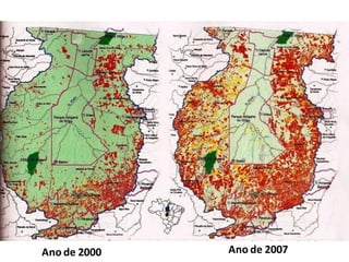Ano de 2000 Ano de 2007
 