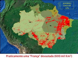 AC
AM
RO
MT
PA
RR
AP
TO
MA
Praticamente uma “França” devastada (600 mil Km2)
JÁPERDEU
CERCADE
17%
 