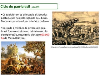 • Os tupis foram os principais aliados dos
portugueses na exploração do pau-brasil.
Trocavam pau-brasil por artefatos de ferro.
• Cerca de 2 milhões de árvores de pau-
brasil foram extraídas no primeiro século
de exploração, o que teria afetado 600.000
ha de Mata Atlântica.
http://csm7anoa.pbworks.com/w/page/32491235/Escravid%C3%A3
Ciclo do pau-brasil - séc. XVI
 