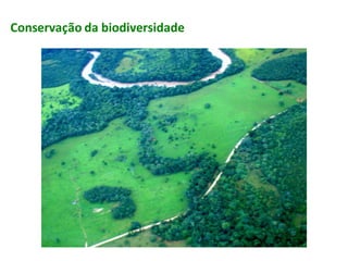 Conservação da biodiversidade
 