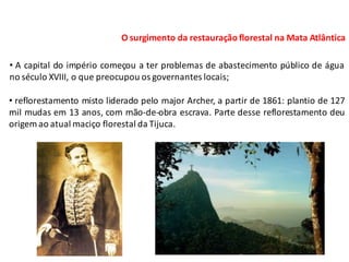 O surgimento da restauração florestal na Mata Atlântica
• reflorestamento misto liderado pelo major Archer, a partir de 1861: plantio de 127
mil mudas em 13 anos, com mão-de-obra escrava. Parte desse reflorestamento deu
origem ao atual maciço florestal da Tijuca.
• A capital do império começou a ter problemas de abastecimento público de água
no século XVIII, o que preocupou os governantes locais;
 