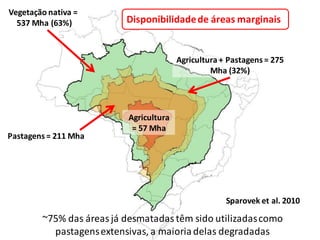 Vegetação nativa =
537 Mha (63%)
Agricultura + Pastagens = 275
Mha (32%)
Pastagens= 211 Mha
Agricultura
= 57 Mha
~75% das áreas já desmatadastêm sido utilizadascomo
pastagensextensivas, a maioriadelas degradadas
Sparovek et al. 2010
Disponibilidadede áreas marginais
 