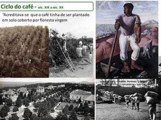 Ciclo do café - séc. XIX a séc. XX
Lavra do café – Cândido Portinari (1939)
Fonte: http://200anos.fazenda.gov.br/linha-do-tempo/1800-
1899/1830-ciclo-do-cafe
“Acreditava-se que o café tinha de ser plantado
em solo coberto porfloresta virgem
 