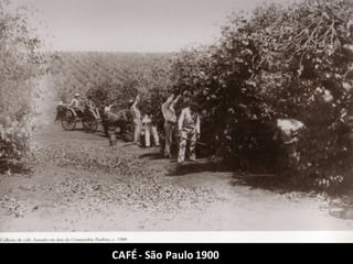CAFÉ- São Paulo 1900
 