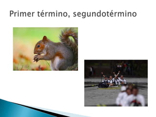 Primer término, segundotérmino