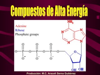 Compuestos de Alta Energía Producción: M.C. Araceli Serna Gutiérrez 