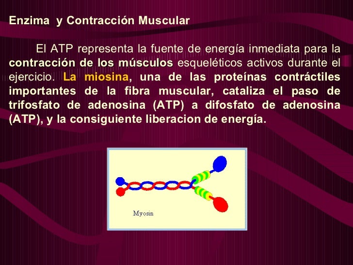 COMPUESTOS DE ALTA ENERGÍA