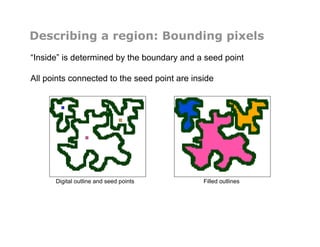 Describing a region: Bounding pixels
“Inside” is determined by the boundary and a seed point
All points connected to the seed point are inside
Digital outline and seed points Filled outlines
 