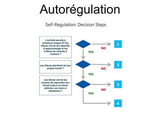 Autorégulation
 