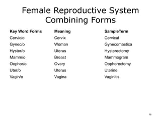 Female Reproductive System
Combining Forms
Key Word Forms Meaning SampleTerm
Cervic/o Cervix Cervical
Gynec/o Woman Gynecomastica
Hyster/o Uterus Hysterectomy
Mamm/o Breast Mammogram
Oophor/o Ovary Oophorectomy
Uter/o Uterus Uterine
Vagin/o Vagina Vaginitis
19
 