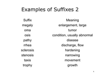 Understanding Medical Words- Lecture B slides | PPTX