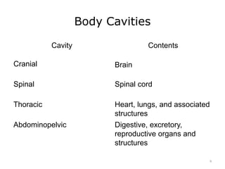 Body Cavities
Cavity Contents
Cranial Brain
Spinal Spinal cord
Thoracic Heart, lungs, and associated
structures
Abdominopelvic Digestive, excretory,
reproductive organs and
structures
9
 