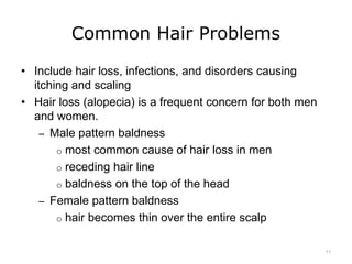 Common Hair Problems
• Include hair loss, infections, and disorders causing
itching and scaling
• Hair loss (alopecia) is a frequent concern for both men
and women.
– Male pattern baldness
o most common cause of hair loss in men
o receding hair line
o baldness on the top of the head
– Female pattern baldness
o hair becomes thin over the entire scalp
11
 