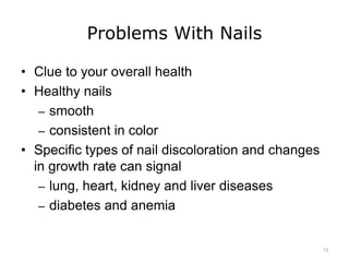 Problems With Nails
• Clue to your overall health
• Healthy nails
– smooth
– consistent in color
• Specific types of nail discoloration and changes
in growth rate can signal
– lung, heart, kidney and liver diseases
– diabetes and anemia
13
 