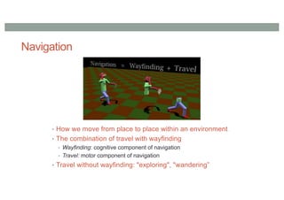 Navigation
• How we move from place to place within an environment
• The combination of travel with wayfinding
• Wayfinding: cognitive component of navigation
• Travel: motor component of navigation
• Travel without wayfinding: "exploring", "wandering”
 