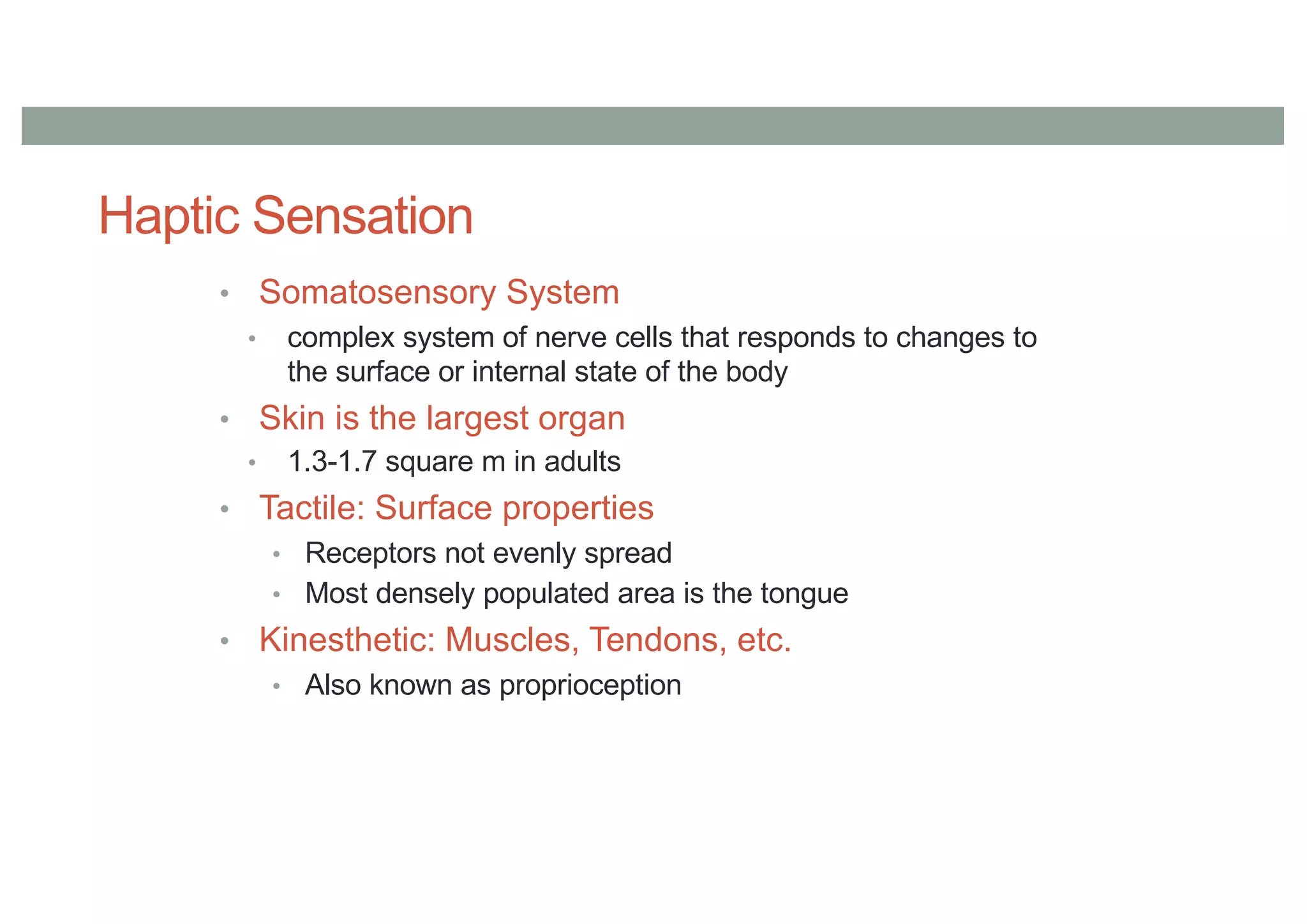 Haptic Sensation
• Somatosensory System
• complex system of nerve cells that responds to changes to
the surface or internal state of the body
• Skin is the largest organ
• 1.3-1.7 square m in adults
• Tactile: Surface properties
• Receptors not evenly spread
• Most densely populated area is the tongue
• Kinesthetic: Muscles, Tendons, etc.
• Also known as proprioception
 