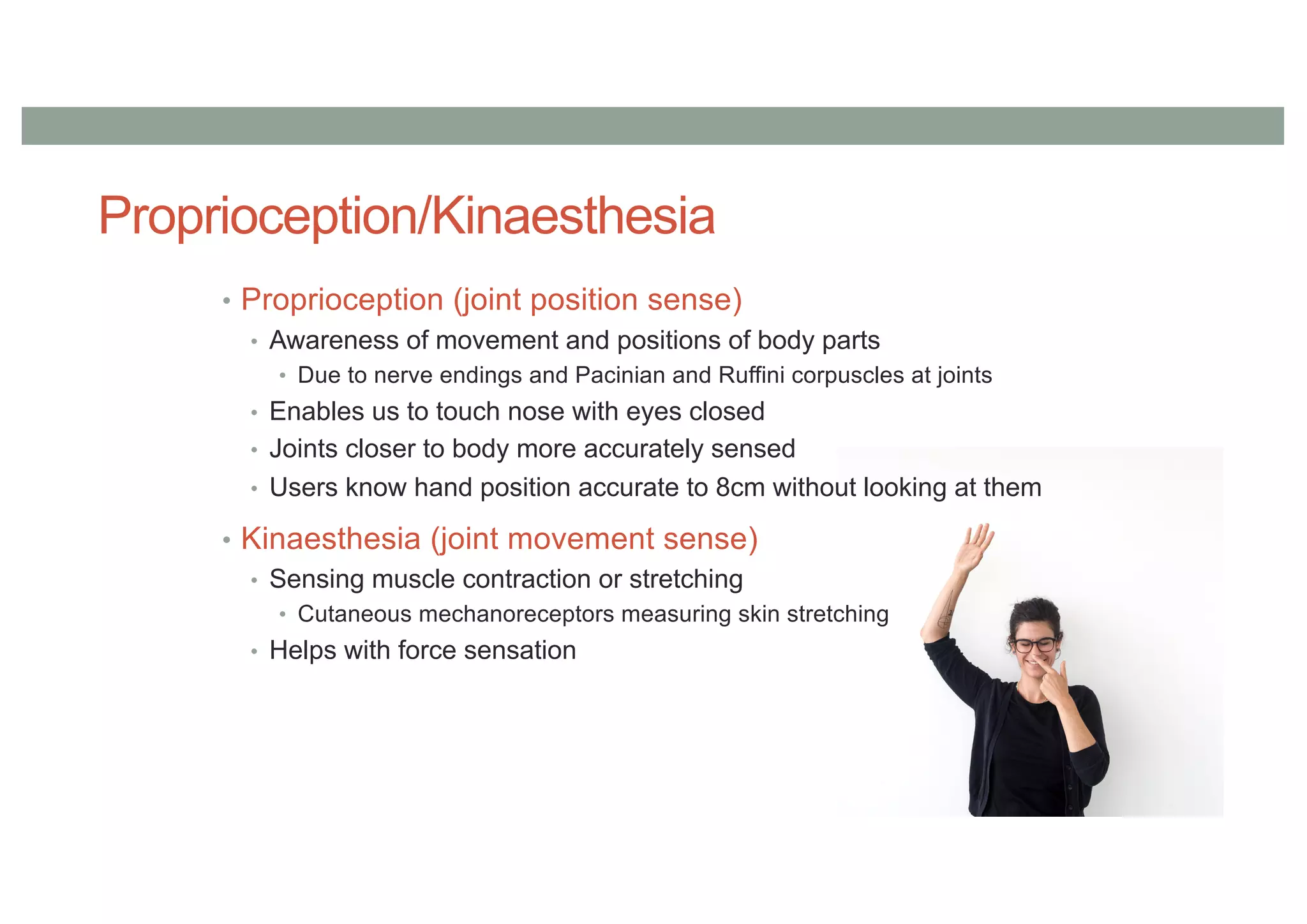 Proprioception/Kinaesthesia
• Proprioception (joint position sense)
• Awareness of movement and positions of body parts
• Due to nerve endings and Pacinian and Ruffini corpuscles at joints
• Enables us to touch nose with eyes closed
• Joints closer to body more accurately sensed
• Users know hand position accurate to 8cm without looking at them
• Kinaesthesia (joint movement sense)
• Sensing muscle contraction or stretching
• Cutaneous mechanoreceptors measuring skin stretching
• Helps with force sensation
 