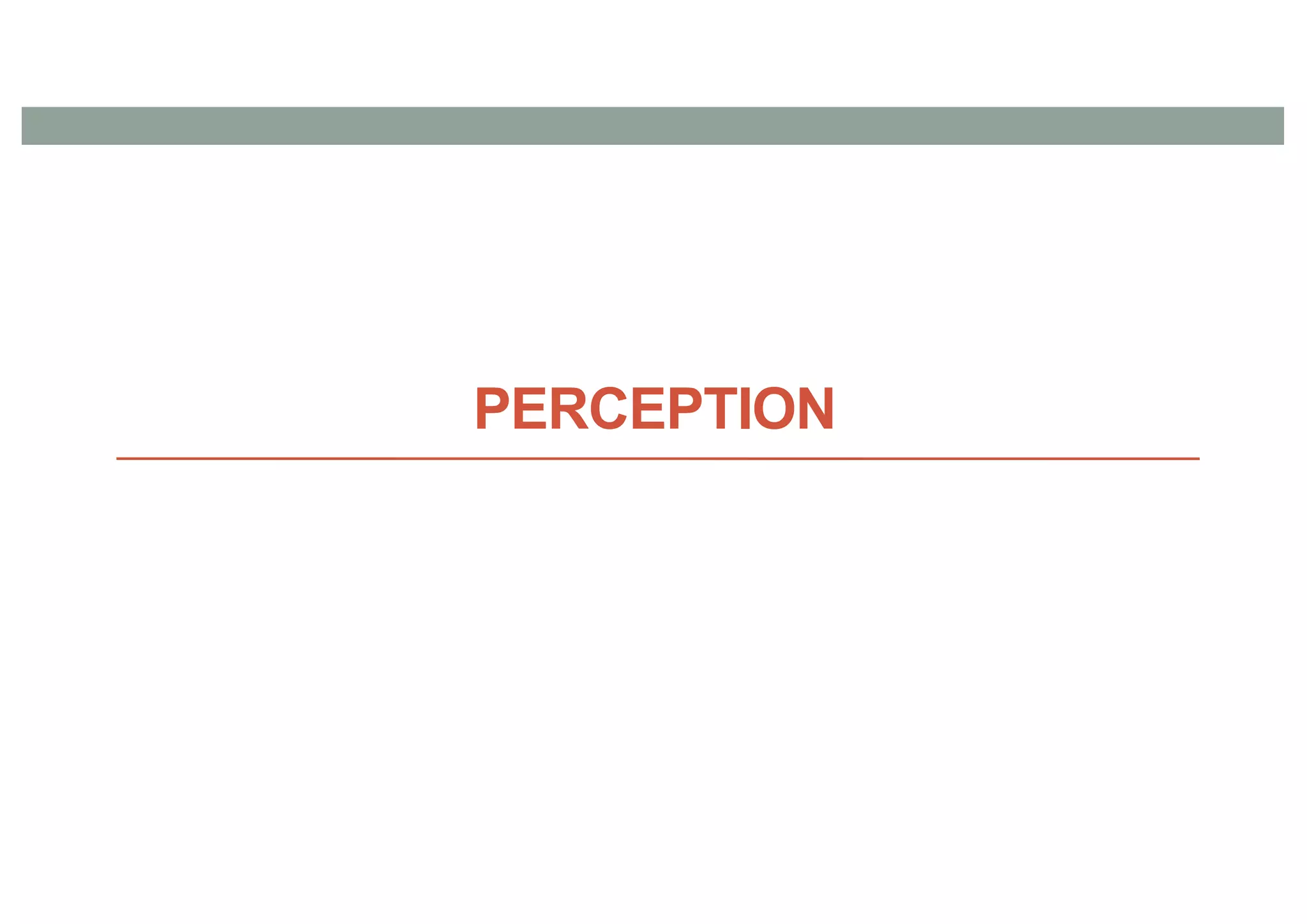 PERCEPTION
 