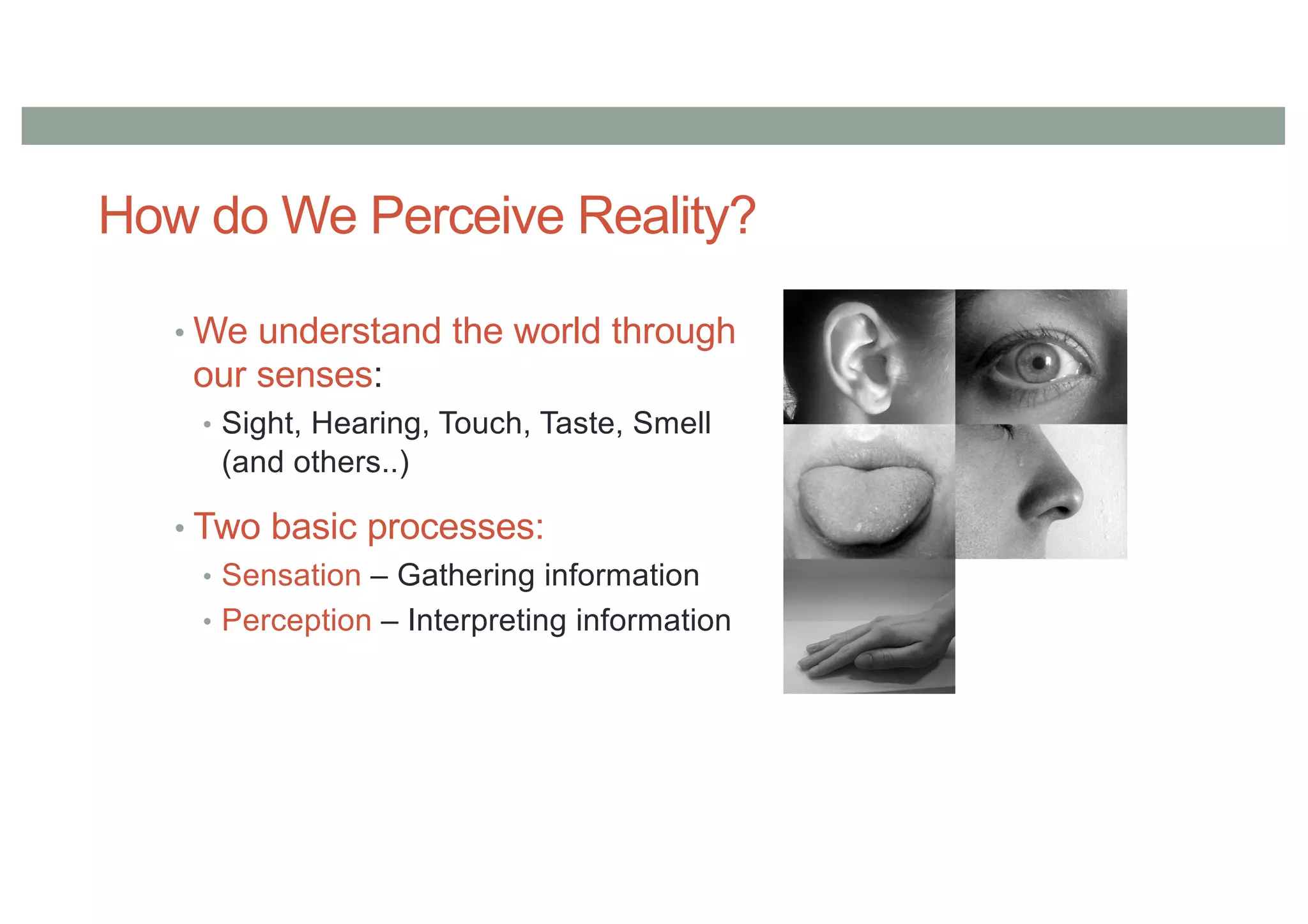 How do We Perceive Reality?
• We understand the world through
our senses:
• Sight, Hearing, Touch, Taste, Smell
(and others..)
• Two basic processes:
• Sensation – Gathering information
• Perception – Interpreting information
 