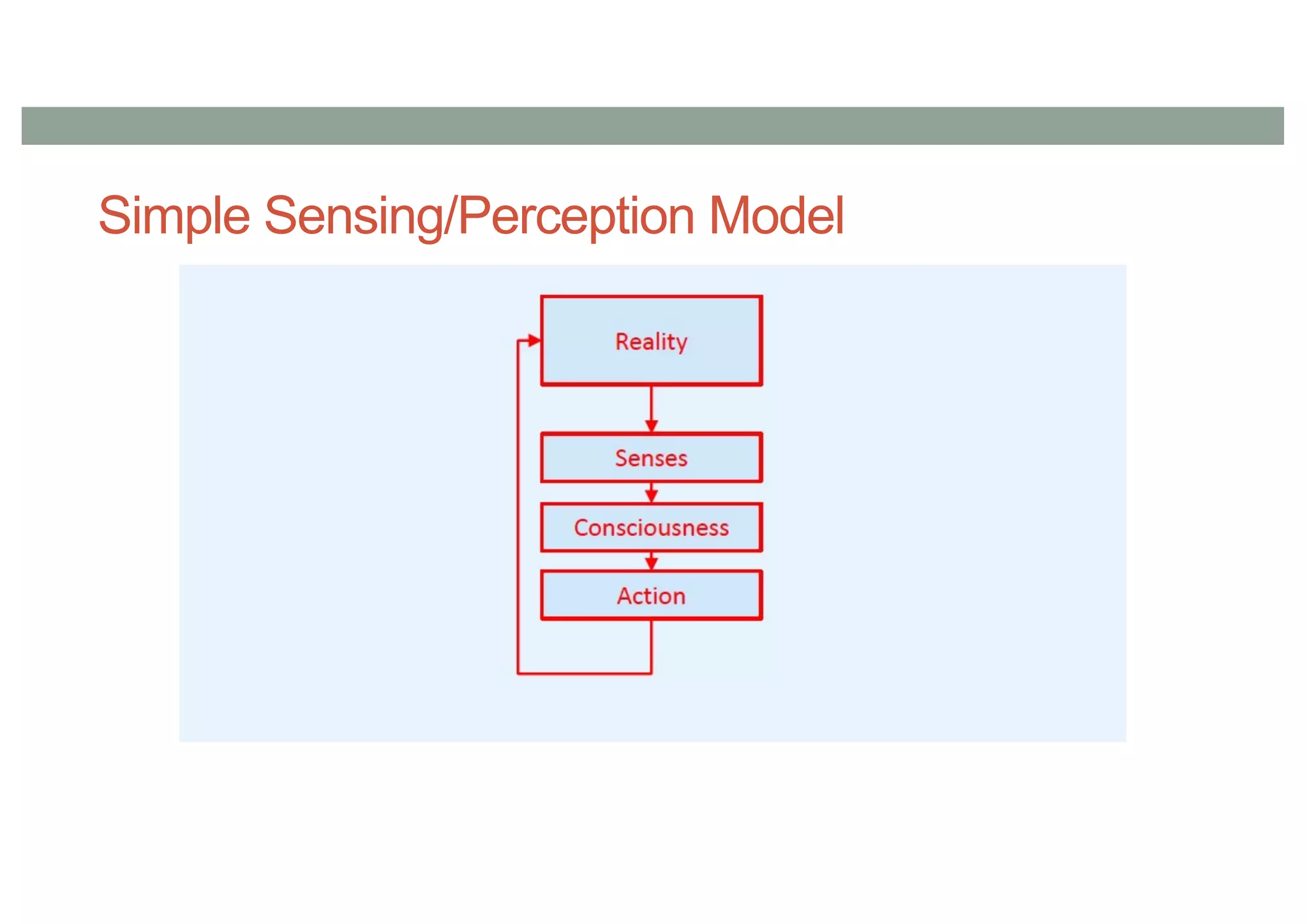 Simple Sensing/Perception Model
 