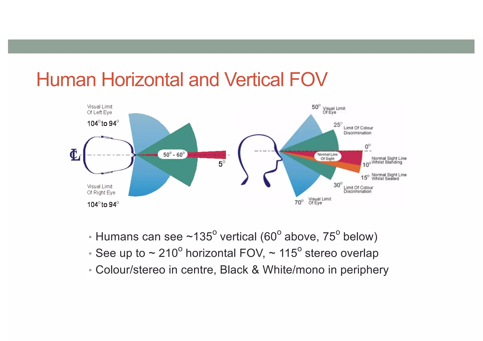 Human Horizontal and Vertical FOV
• Humans can see ~135
o
vertical (60
o
above, 75
o
below)
• See up to ~ 210o
horizontal FOV, ~ 115o
stereo overlap
• Colour/stereo in centre, Black & White/mono in periphery
 