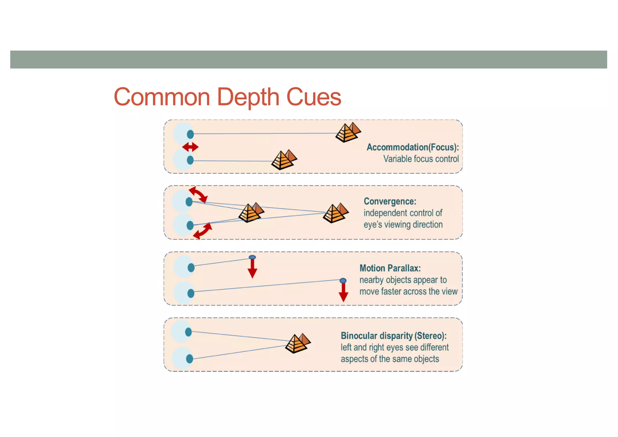 Common Depth Cues
 