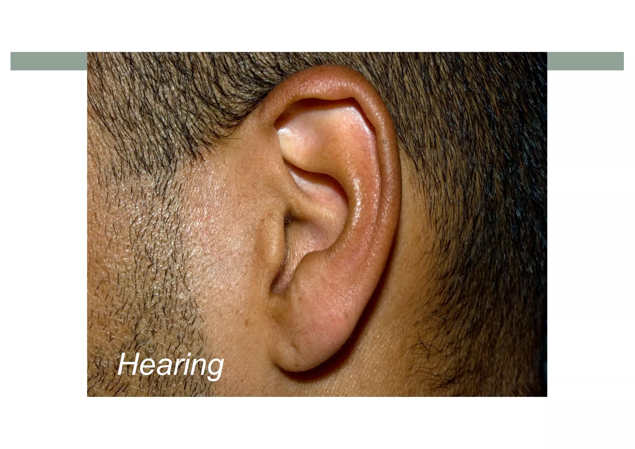 Hearing
 