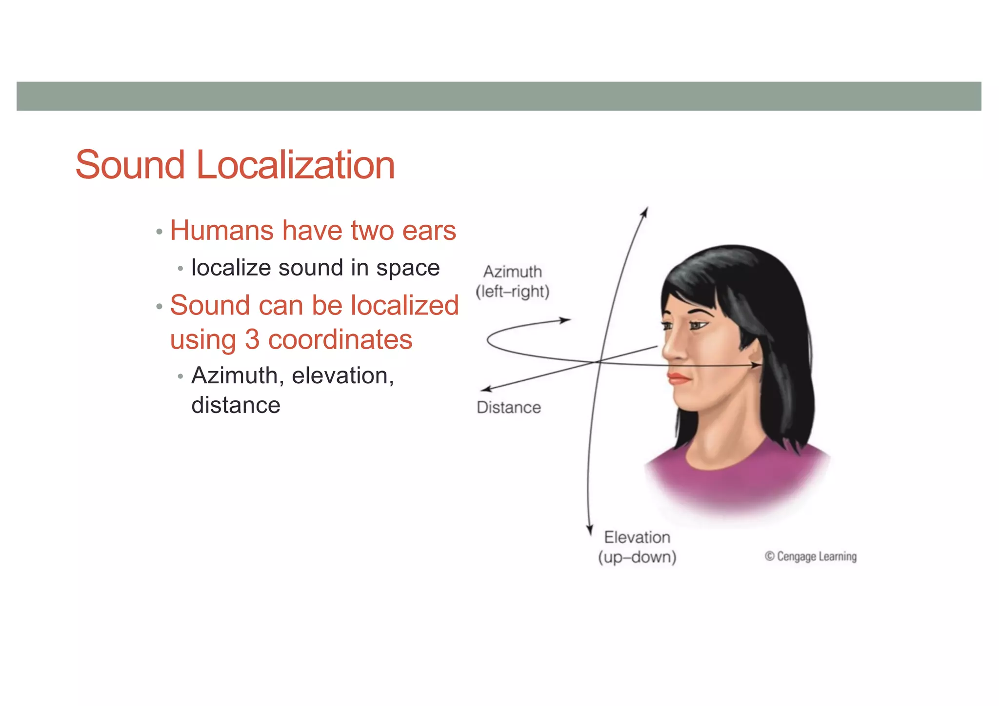 Sound Localization
• Humans have two ears
• localize sound in space
• Sound can be localized
using 3 coordinates
• Azimuth, elevation,
distance
 