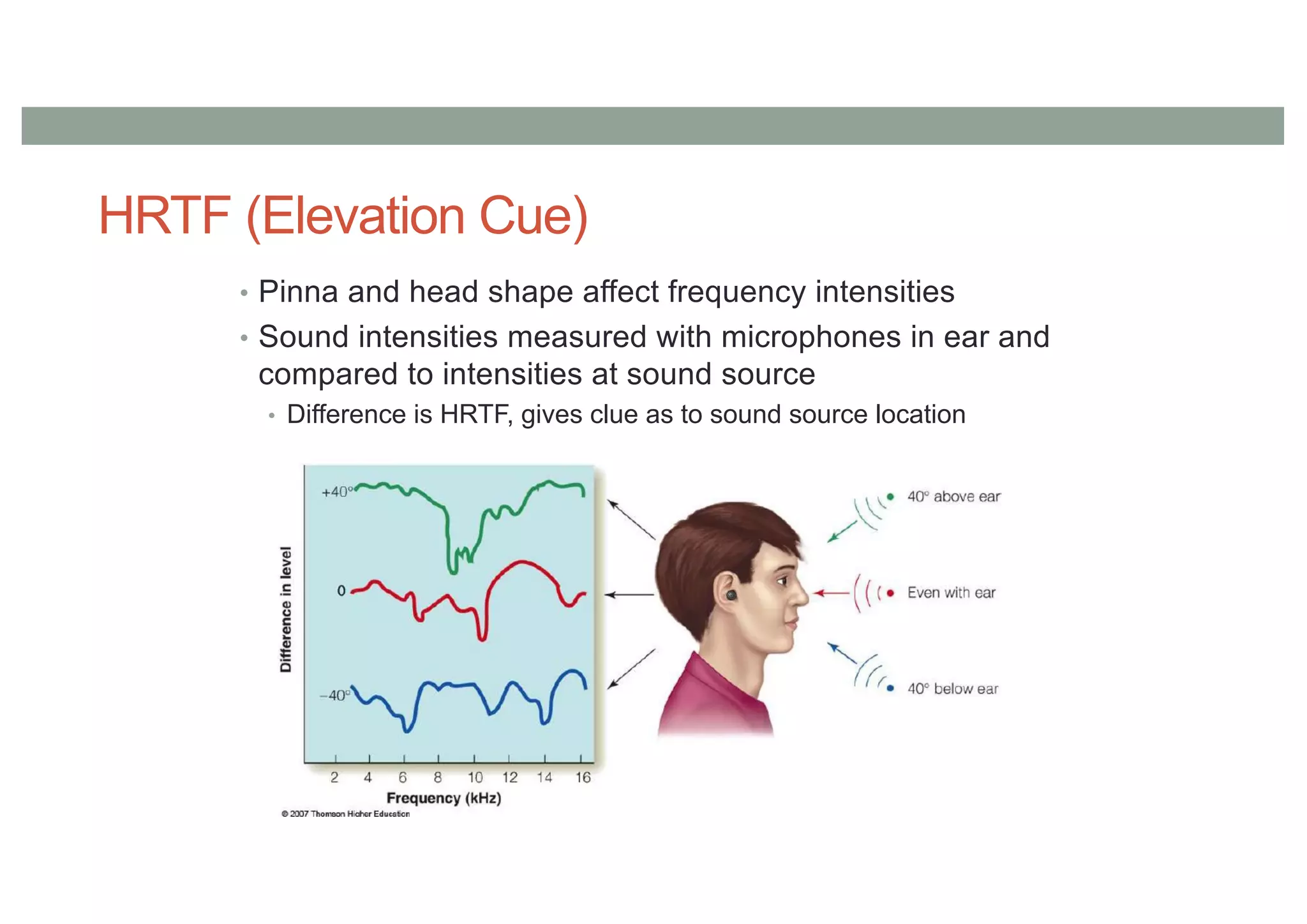 HRTF (Elevation Cue)
• Pinna and head shape affect frequency intensities
• Sound intensities measured with microphones in ear and
compared to intensities at sound source
• Difference is HRTF, gives clue as to sound source location
 
