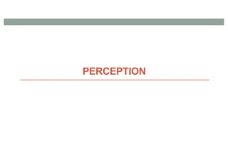 PERCEPTION
 