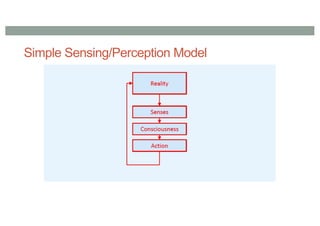 Simple Sensing/Perception Model
 