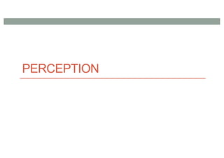 PERCEPTION
 