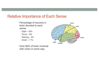 Relative Importance of Each Sense
• Percentage of neurons in
brain devoted to each
sense
• Sight – 30%
• Touch – 8%
• Hearing – 2%
• Smell - < 1%
• Over 60% of brain involved
with vision in some way
 