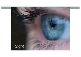Sight
 