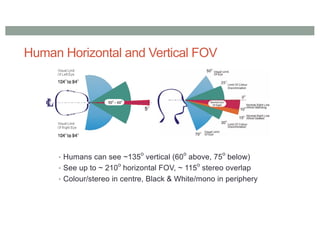 Human Horizontal and Vertical FOV
• Humans can see ~135
o
vertical (60
o
above, 75
o
below)
• See up to ~ 210o
horizontal FOV, ~ 115o
stereo overlap
• Colour/stereo in centre, Black & White/mono in periphery
 