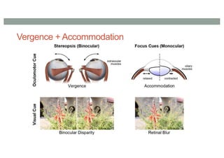 Vergence + Accommodation
• saas
 