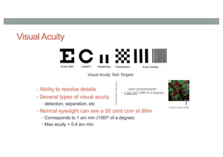 Visual Acuity
Visual Acuity Test Targets
• Ability to resolve details
• Several types of visual acuity
• detection, separation, etc
• Normal eyesight can see a 50 cent coin at 80m
• Corresponds to 1 arc min (1/60th of a degree)
• Max acuity = 0.4 arc min
 