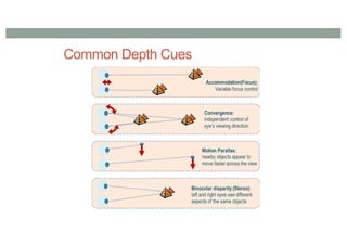 Common Depth Cues
 
