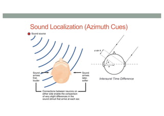 Sound Localization (Azimuth Cues)
Interaural Time Difference
 