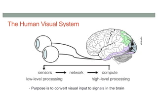2022 COMP4010 Lecture2: Perception | PDF