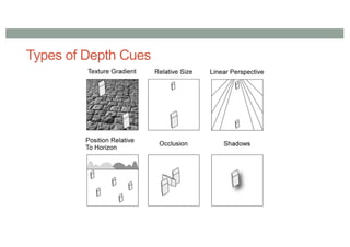 Types of Depth Cues
 