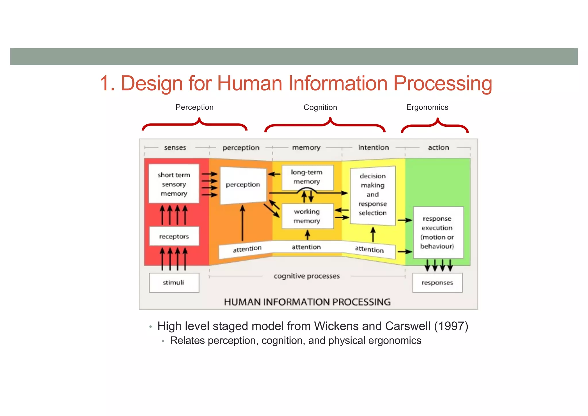 1. Design for Human Information Processing
• High level staged model from Wickens and Carswell (1997)
• Relates perception, cognition, and physical ergonomics
Perception Cognition Ergonomics
 