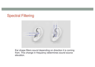 Spectral Filtering
Ear shape filters sound depending on direction it is coming
from. This change in frequency determines sound source
elevation.
 