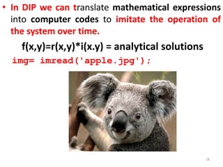 • In DIP we can translate mathematical expressions
into computer codes to imitate the operation of
the system over time.
f(x,y)=r(x,y)*i(x.y) = analytical solutions
img= imread('apple.jpg');
18
 