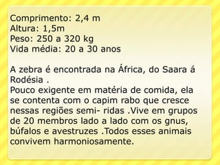 Comprimento: 2,4 m
Altura: 1,5m
Peso: 250 a 320 kg
Vida média: 20 a 30 anos

A zebra é encontrada na África, do Saara á
Rodésia .
Pouco exigente em matéria de comida, ela
se contenta com o capim rabo que cresce
nessas regiões semi- ridas .Vive em grupos
de 20 membros lado a lado com os gnus,
búfalos e avestruzes .Todos esses animais
convivem harmoniosamente.
 
