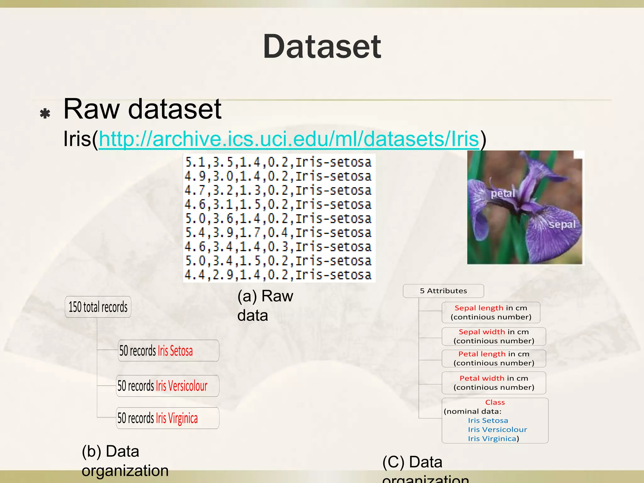 Data mining project presentation | PPTX